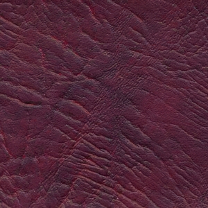 Вишня (Боди) Вишня (Боди)