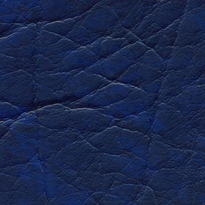 Синий (Кенвуд) Синий (Кенвуд)