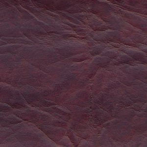 Вишня (Венеция) Вишня (Венеция)