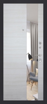 Входная дверь с зеркалом